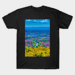 View from Court House Hill T-Shirt